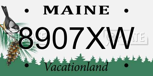 8907XW Maine License Plate