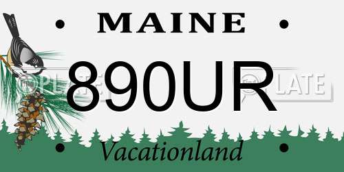 890UR Maine License Plate