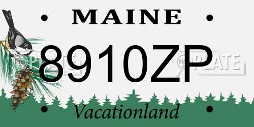 8910ZP Maine License Plate