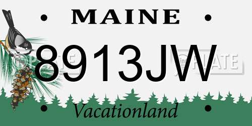 8913JW Maine License Plate