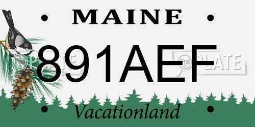 891AEF Maine License Plate