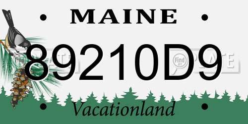 89210D9 Maine License Plate