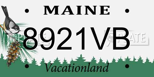 8921VB Maine License Plate