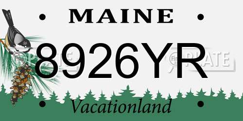 8926YR Maine License Plate