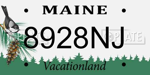 8928NJ Maine License Plate