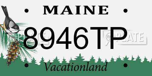 8946TP Maine License Plate
