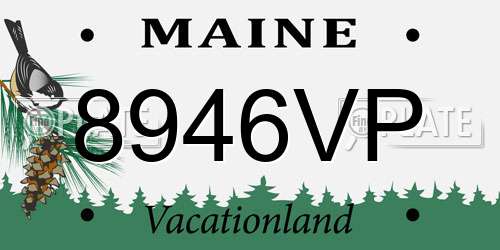 8946VP Maine License Plate