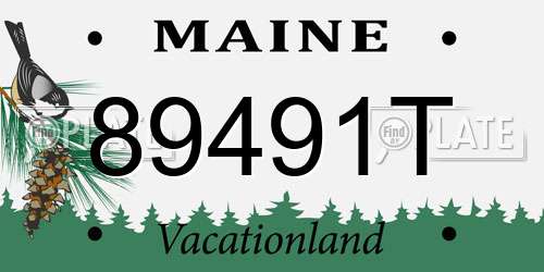 89491T Maine License Plate