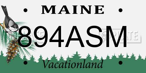 894ASM Maine License Plate
