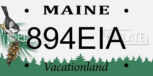 894EIA Maine License Plate
