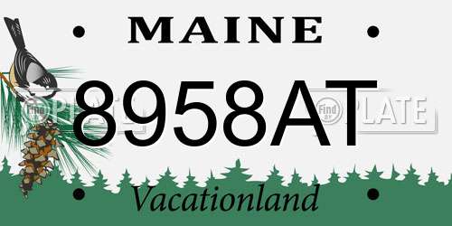 8958AT Maine License Plate