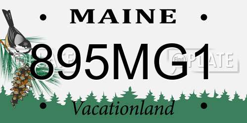 895MG1 Maine License Plate