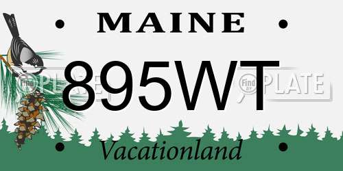 895WT Maine License Plate