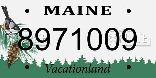 8971009 Maine License Plate