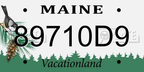 89710D9 Maine License Plate
