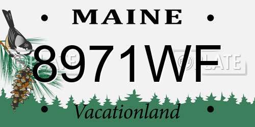 8971WF Maine License Plate
