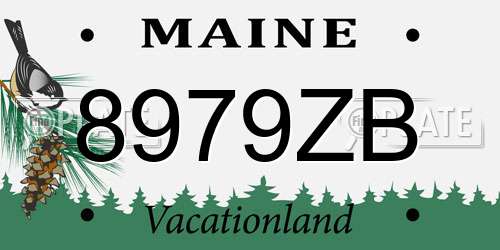 8979ZB Maine License Plate