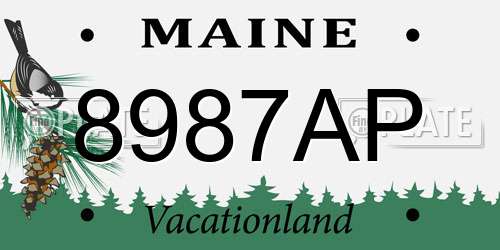 8987AP Maine License Plate