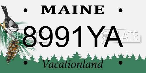 8991YA Maine License Plate