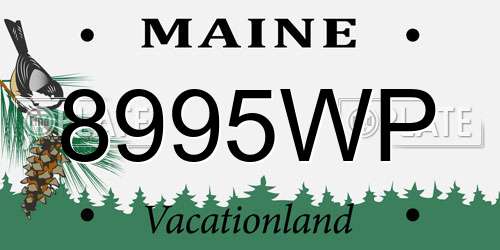 8995WP Maine License Plate