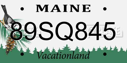 89SQ845 Maine License Plate