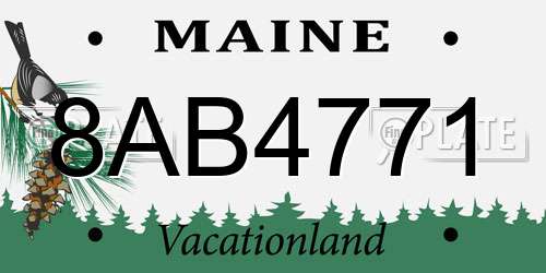 8AB4771 Maine License Plate