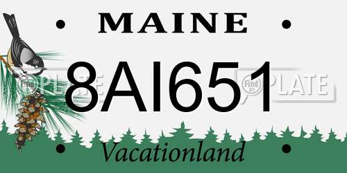 8AI651 Maine License Plate