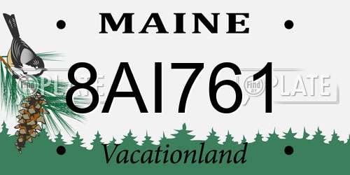8AI761 Maine License Plate