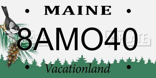 8AMO40 Maine License Plate