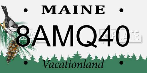8AMQ40 Maine License Plate