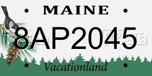 8AP2045 Maine License Plate