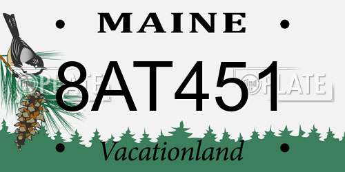 8AT451 Maine License Plate