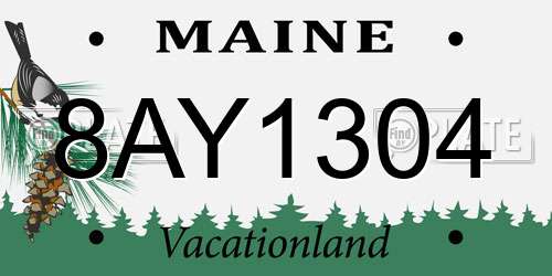 8AY1304 Maine License Plate