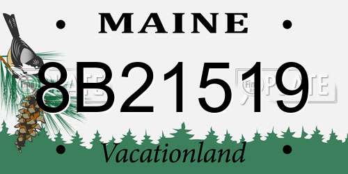 8B21519 Maine License Plate