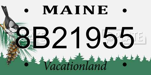 8B21955 Maine License Plate