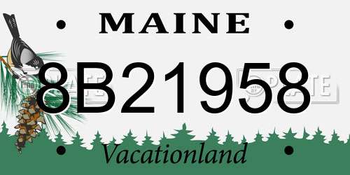 8B21958 Maine License Plate