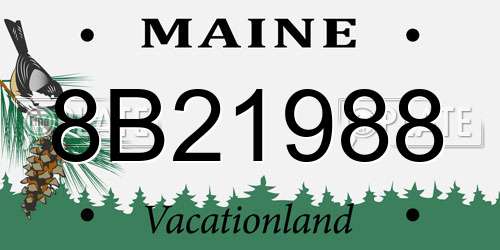 8B21988 Maine License Plate