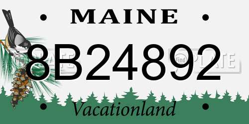8B24892 Maine License Plate