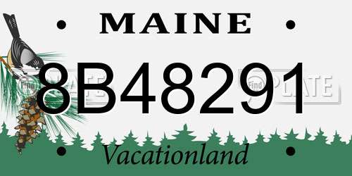 8B48291 Maine License Plate