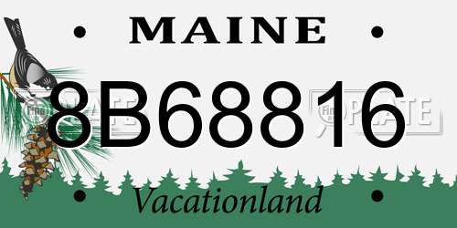 8B68816 Maine License Plate