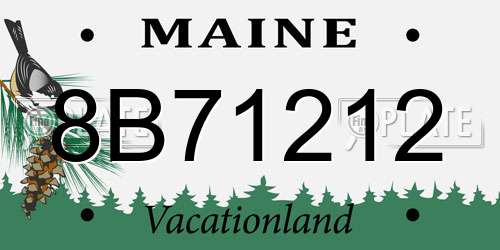 8B71212 Maine License Plate