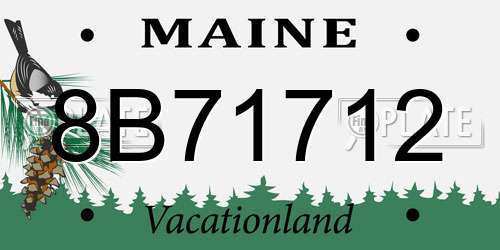 8B71712 Maine License Plate