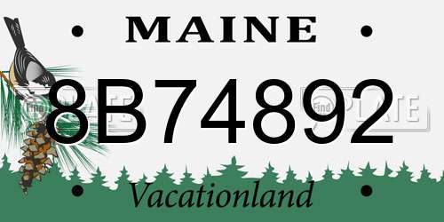 8B74892 Maine License Plate