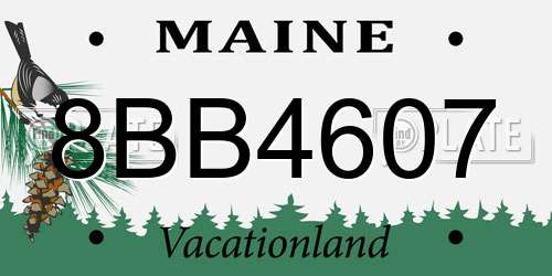 8BB4607 Maine License Plate