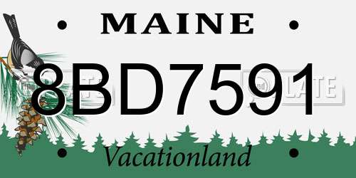 8BD7591 Maine License Plate