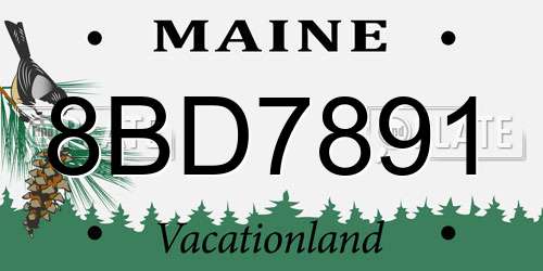 8BD7891 Maine License Plate