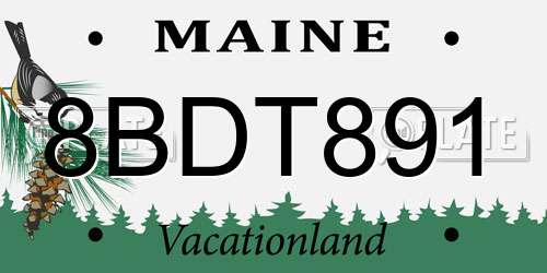 8BDT891 Maine License Plate