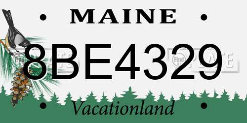8BE4329 Maine License Plate