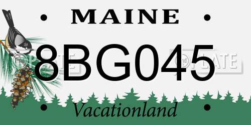 8BG045 Maine License Plate