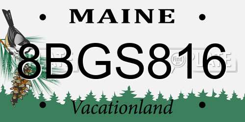 8BGS816 Maine License Plate